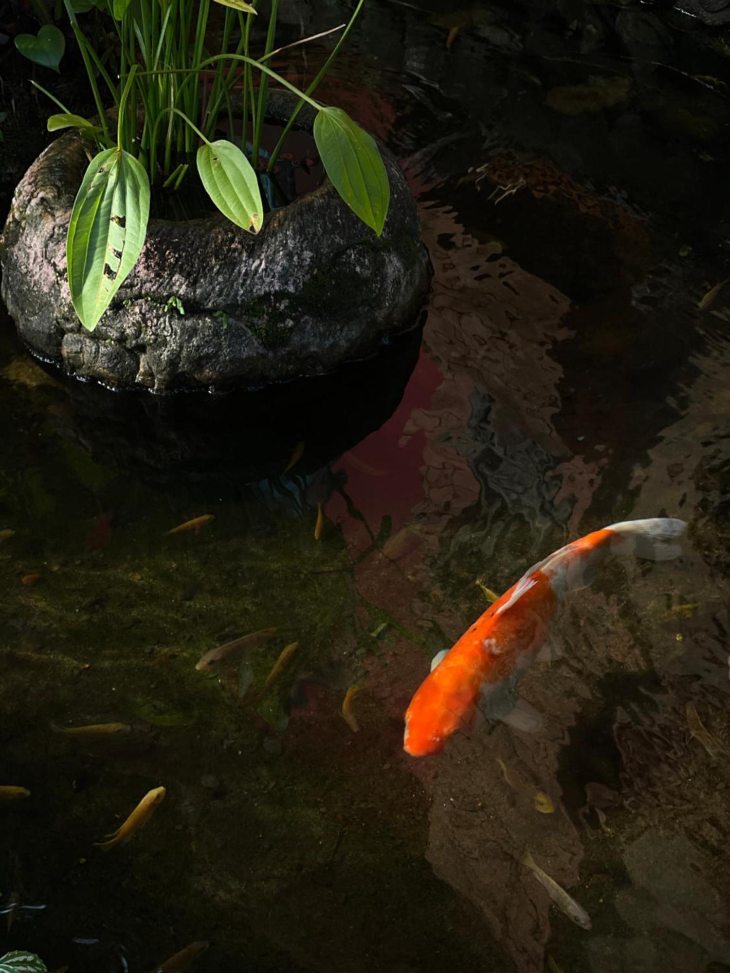 Baan Ton Rak Boutique Resort Koh Chang Dış mekan fotoğraf
