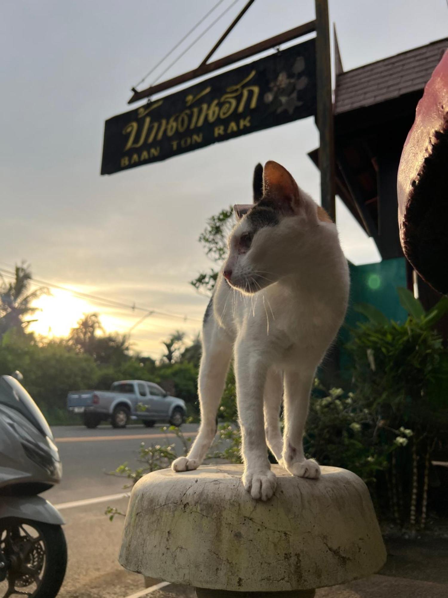 Baan Ton Rak Boutique Resort Koh Chang Dış mekan fotoğraf